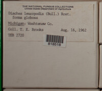 Image Associated With the Occurence